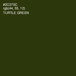 #2C370C - Turtle Green Color Image